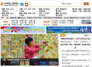 河北电台爆料视频下载安装,轻松获取热门资讯  第1张